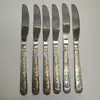 Набор столовых ножей golden bear 6 шт в комплекте